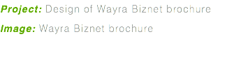 Project: Design of Wayra Biznet brochure Image: Wayra Biznet brochure